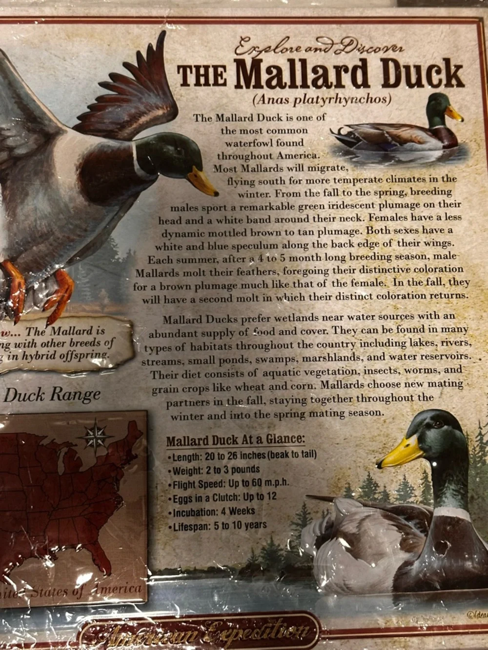 American Expedition Mallard Duck tin wildlife wall, sign, rustic cabin decor